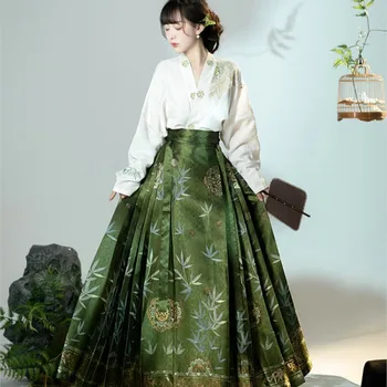 Ming Hanfu Suknelė Moterų Hanfu Arklių Veido Sijonas Orlaivių Rankovės Kostiumas Patobulintas Hanfu Mamian Suknelė 